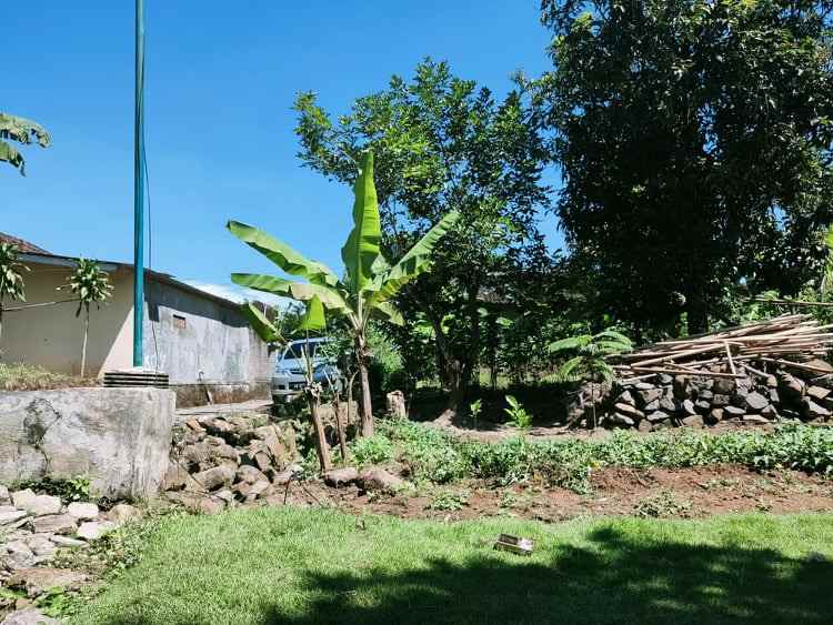 jual tanah pekarangan datar kedawung sragen