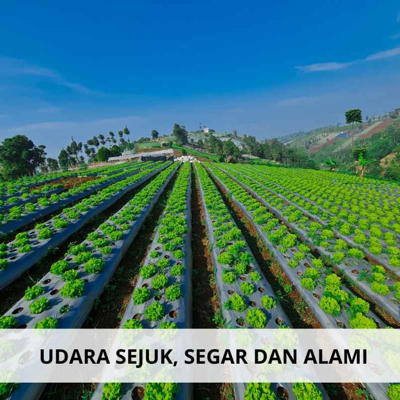 jual tanah strategis dekat stasiun kereta cepat