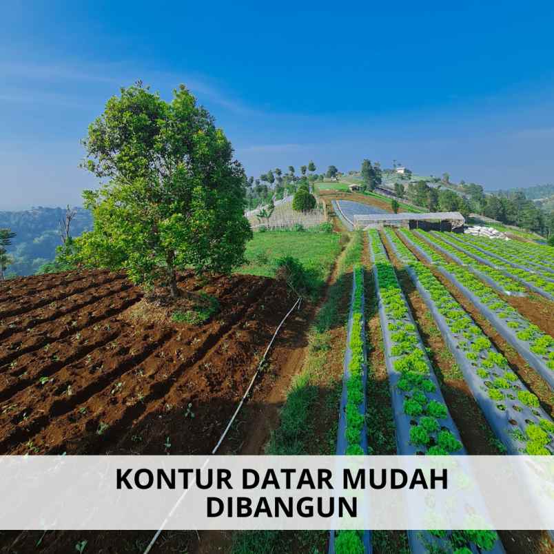 jual tanah strategis dekat stasiun kereta cepat