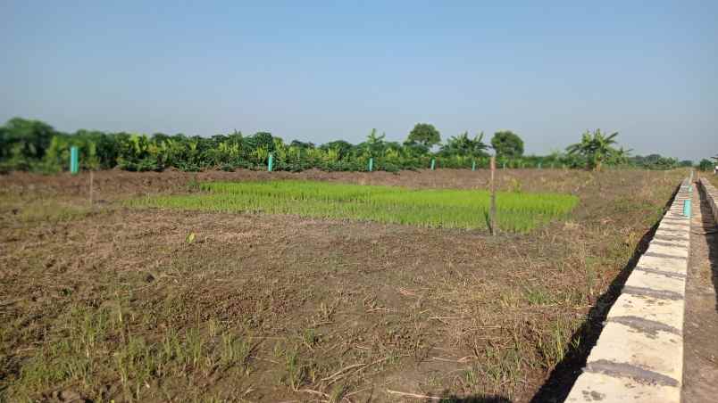 kavling murah dan rumah inhouse