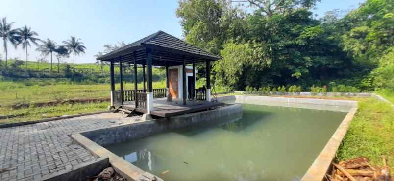kavling villa bonus kolam ikan bibit ikan lele