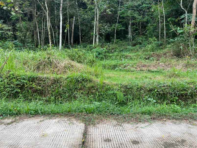 pekarangan datar 3820m siap bangun karangpandan