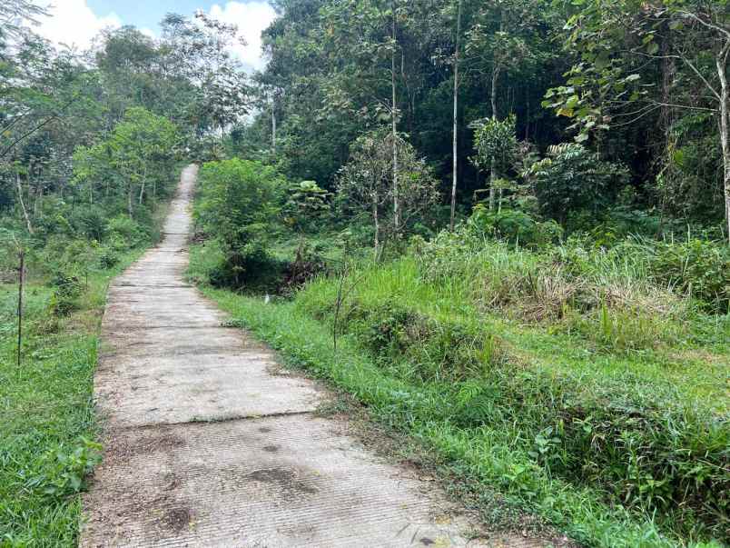 pekarangan datar 3820m siap bangun karangpandan