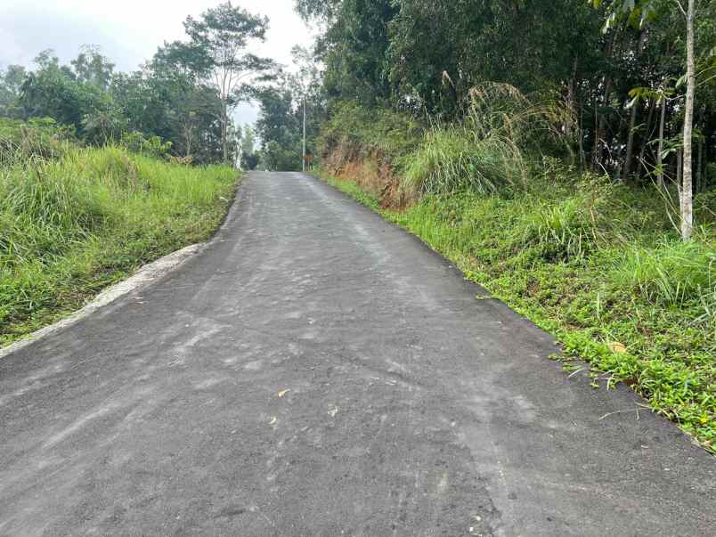 pekarangan datar 3820m siap bangun karangpandan