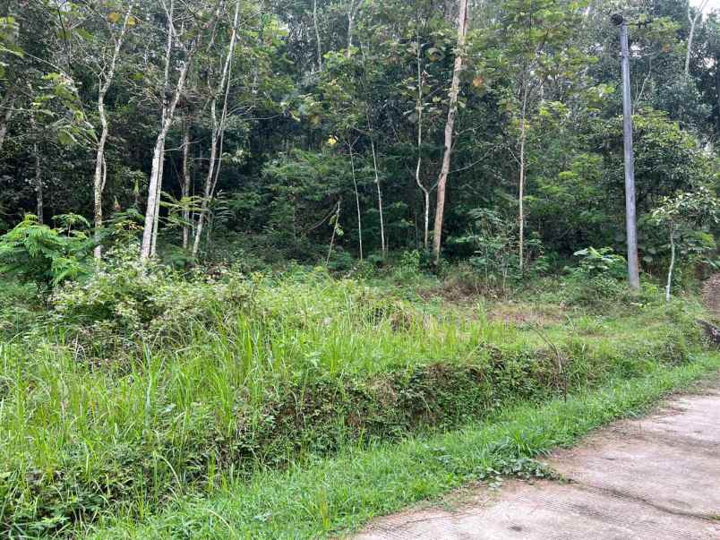 pekarangan datar 3820m siap bangun karangpandan