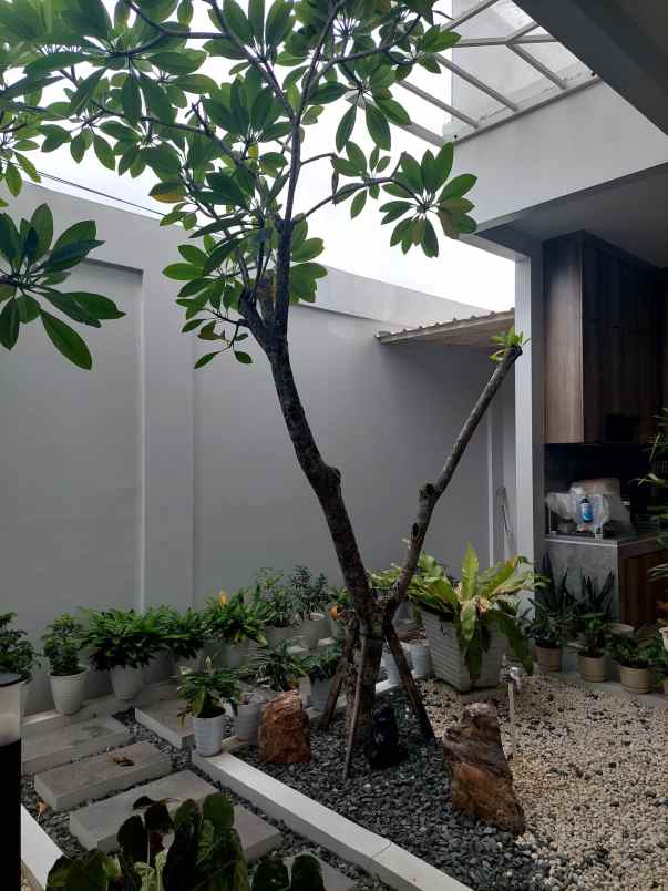 rumah asri 2 lantai di jalan nangka pekanbaru
