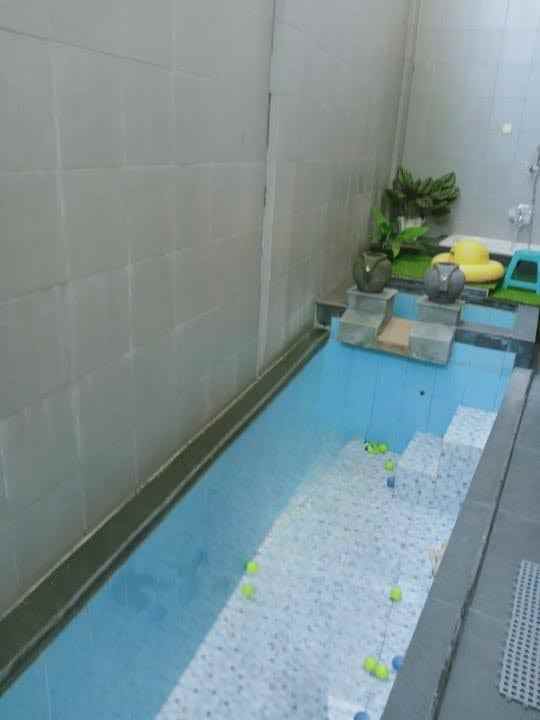 rumah gianyar bali 2 lantai lebar 11 ada mini pool