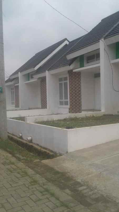 rumah mutiara baru rt 01 rw 01