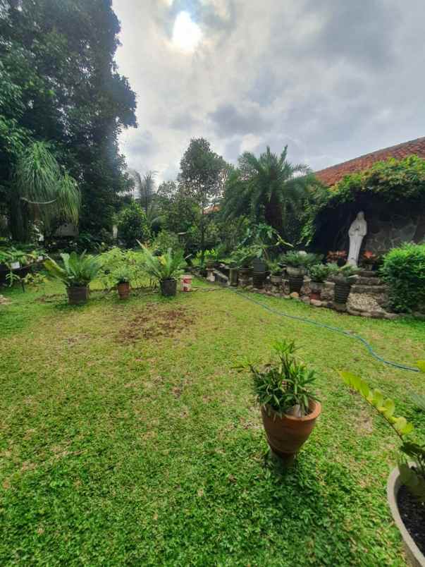 rumah tanah luas di lenteng agung jagakarsa shm