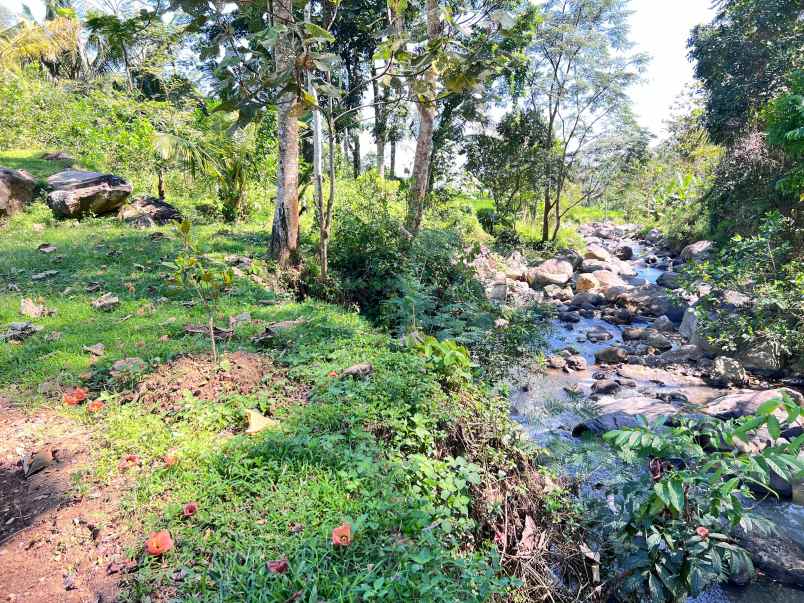 tanah 1285m cocok untuk villa dekat sungai pegunungan