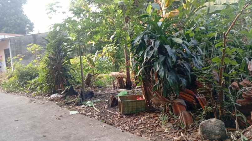 tanah 188 m2 siap bangun kalimulya depok