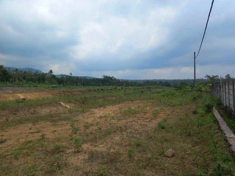 tanah ampel boyolali