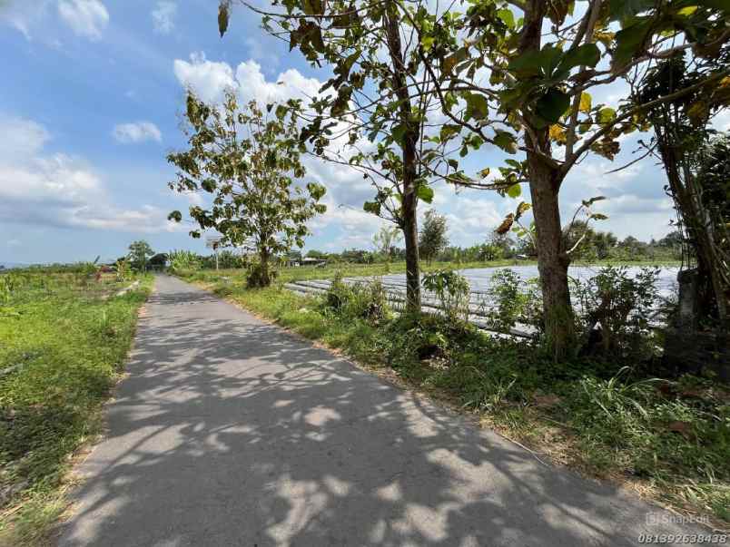 tanah bagus 500 meter jl kaliurang km 12 sleman jogja