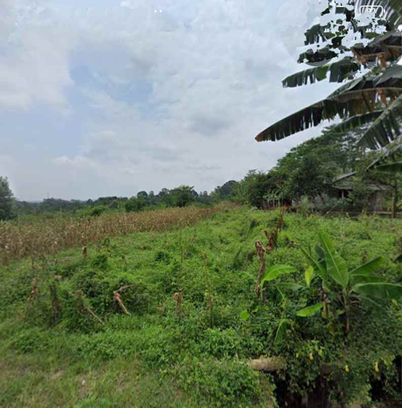 tanah bubakan mijen semarang
