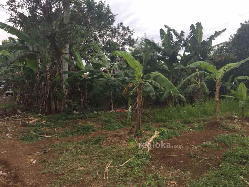 tanah ciseeng parung