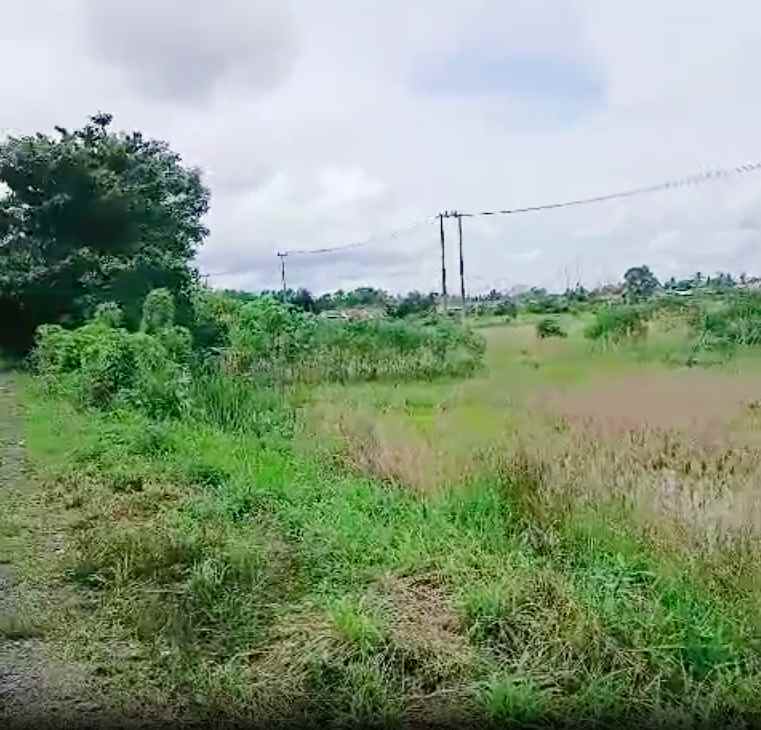 tanah dijual di banjar kalimantan selatan