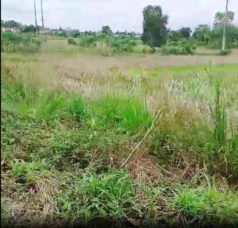 tanah dijual di banjar kalimantan selatan