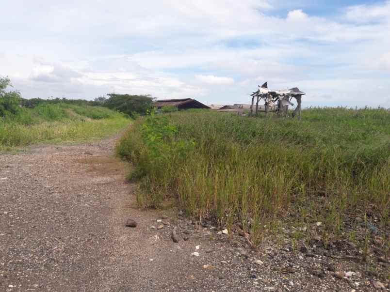 tanah jl raya cakung cilincing