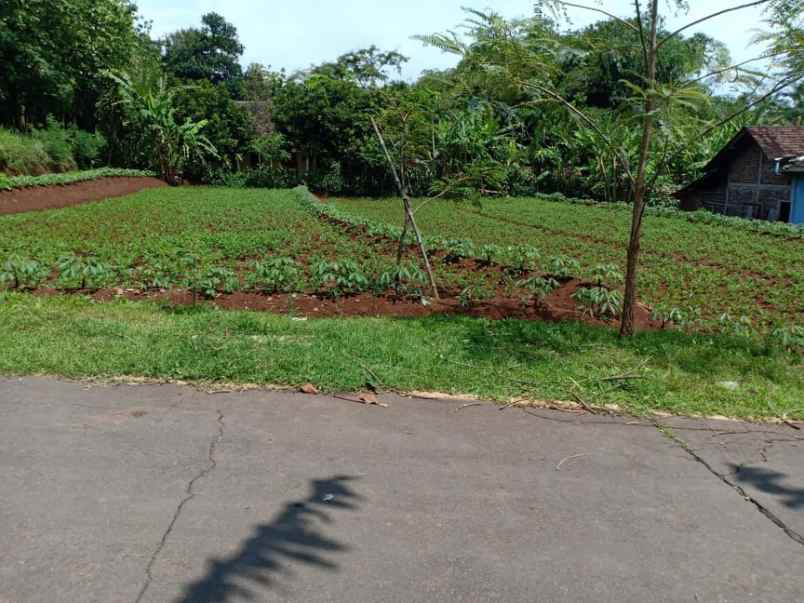 tanah jl raya kerjo sragen kerjo