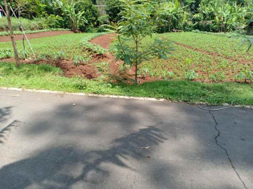 tanah jl raya kerjo sragen kerjo