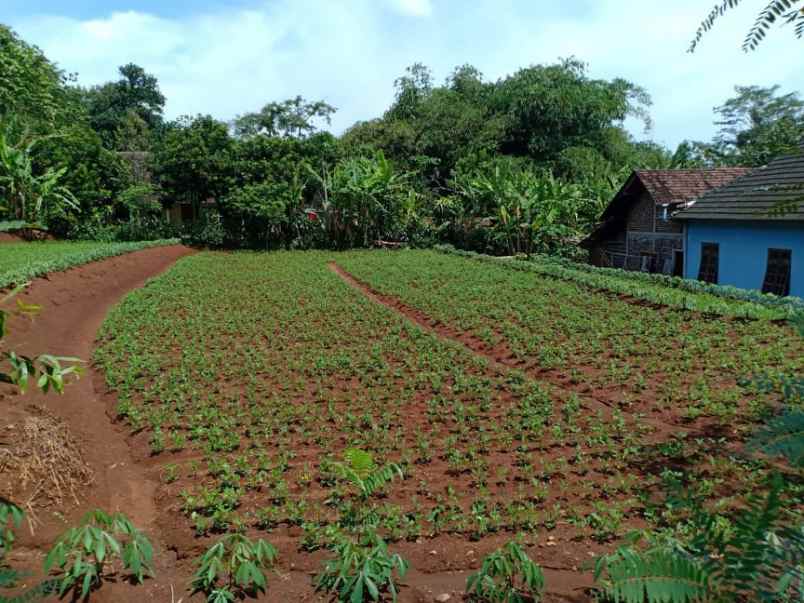 tanah jl raya kerjo sragen kerjo