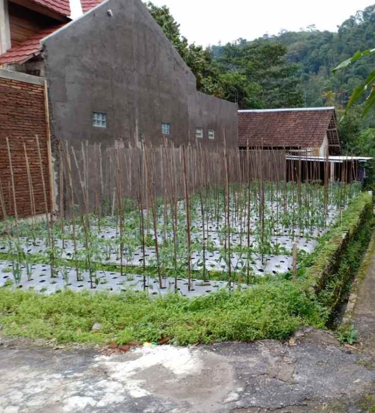 tanah kawasan wisata alam