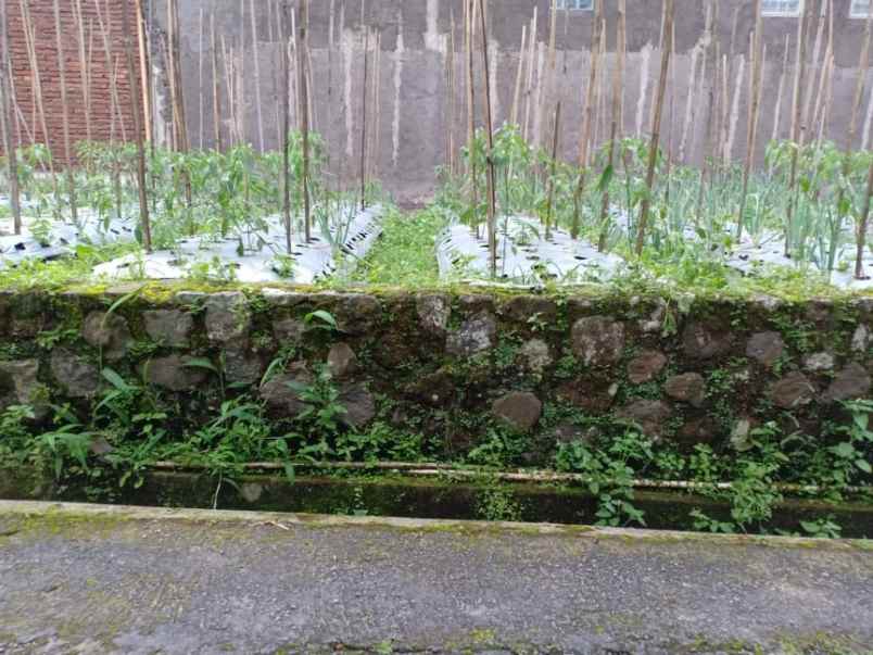 tanah kawasan wisata alam