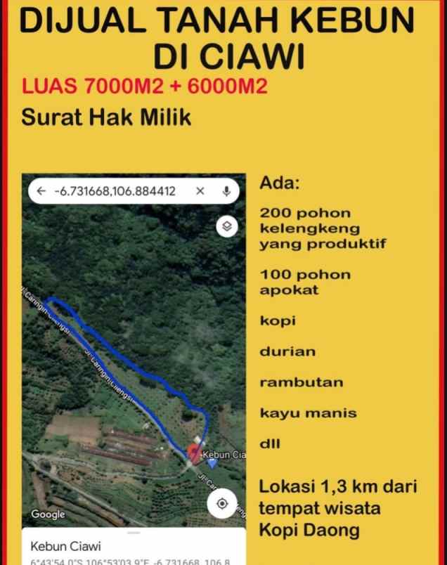 tanah kebun di ciawi bogor