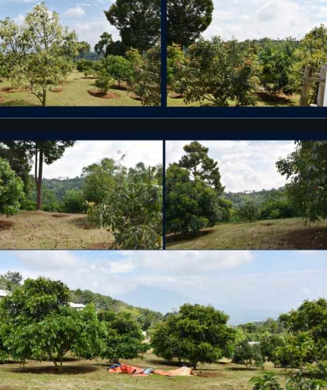 tanah kebun di ciawi bogor