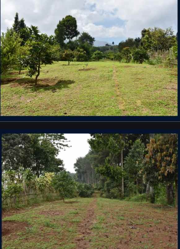 tanah kebun di ciawi bogor