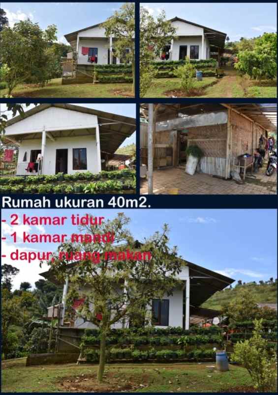 tanah kebun di ciawi bogor