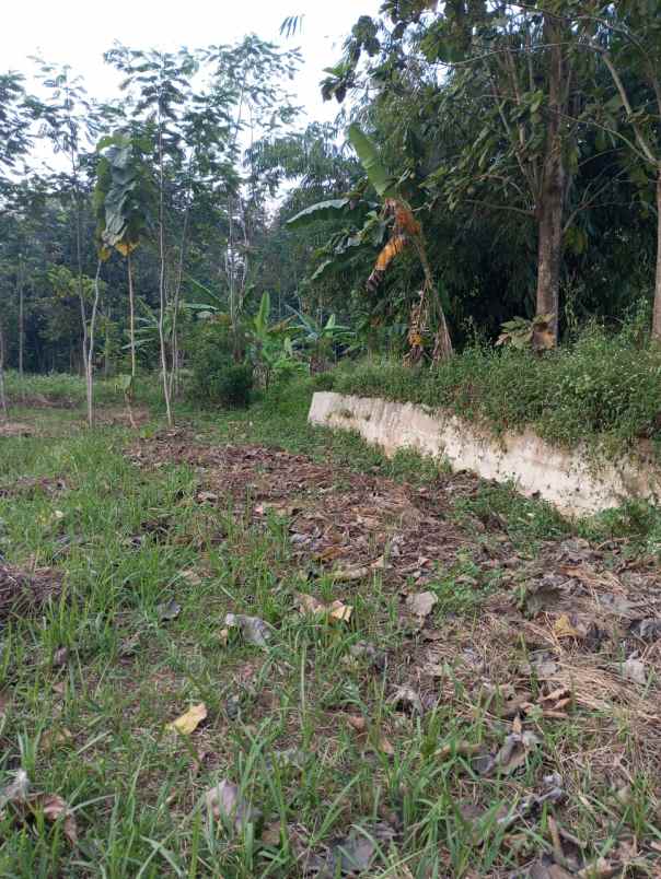 tanah luas dekat unnes