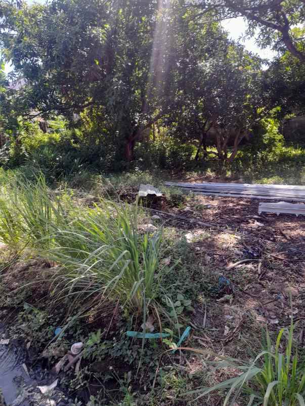 tanah pekarangan rata siap bangun