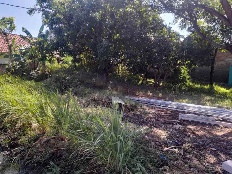 tanah pekarangan rata siap bangun