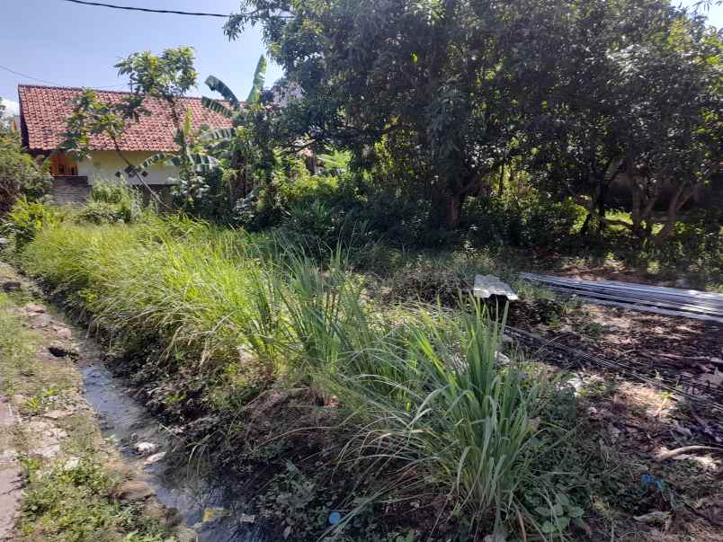 tanah pekarangan rata siap bangun