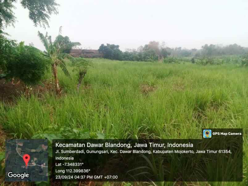 tanah persawahan kabupaten mojokerto