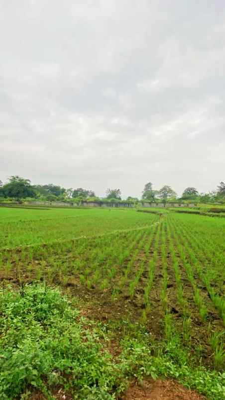 tanah pinggir jalan raya purbalingga jawa tengah