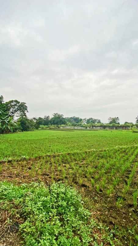 tanah pinggir jalan raya purbalingga jawa tengah