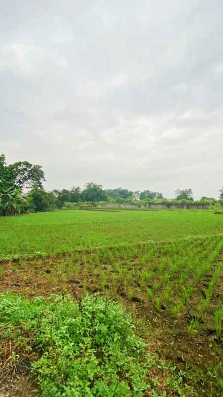 tanah pinggir jalan raya purbalingga jawa tengah