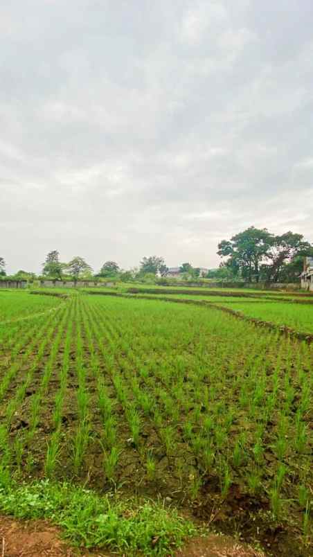 tanah pinggir jalan raya purbalingga jawa tengah