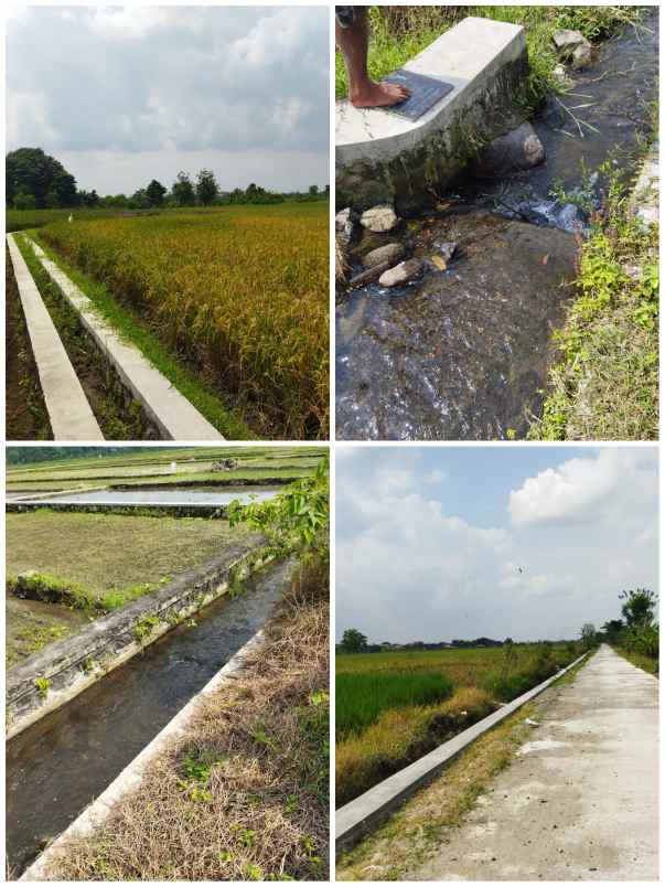 tanah polanharjo janti klaten