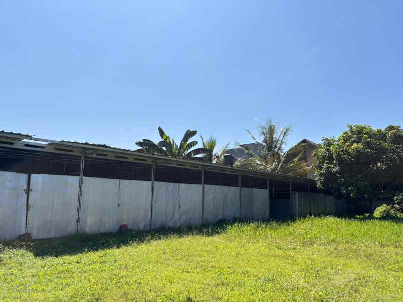 tanah siap bangun dekat kampus jember jl tidar