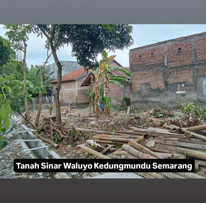tanah sinar waluyo kedungmundu semarang