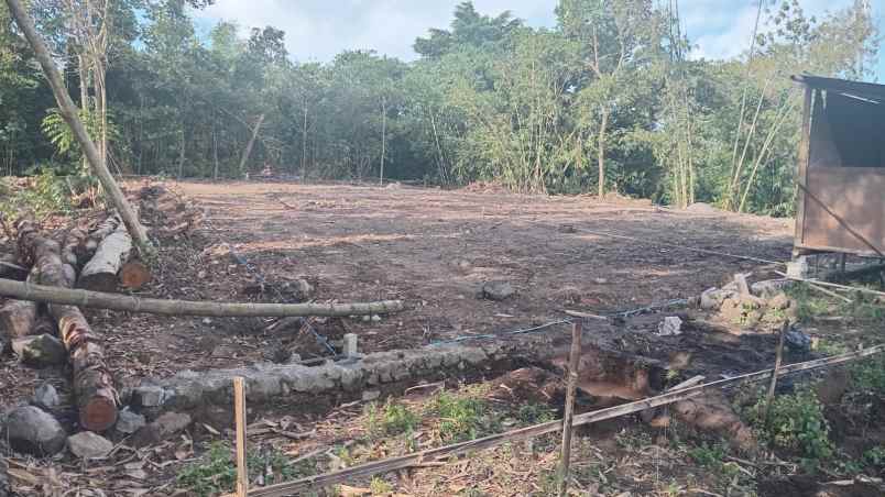 tanah strategis jogja kavling 6 menit dari ibarbo park