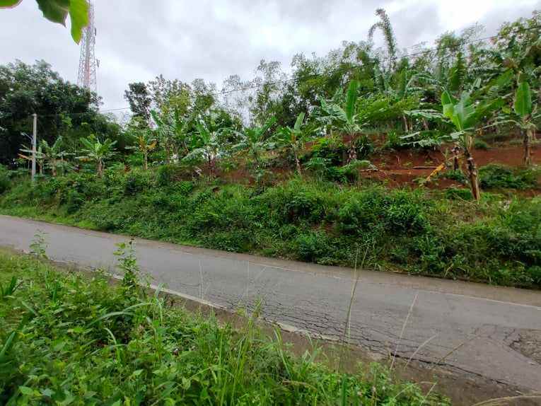 tanah tepi jl raya kerjo