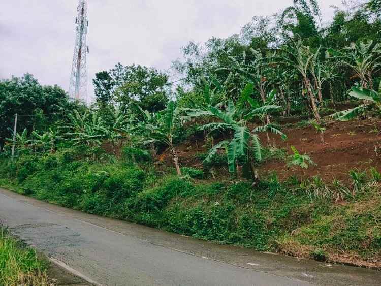tanah tepi jl raya kerjo