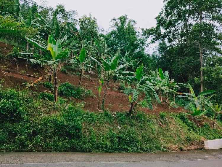 tanah tepi jl raya kerjo