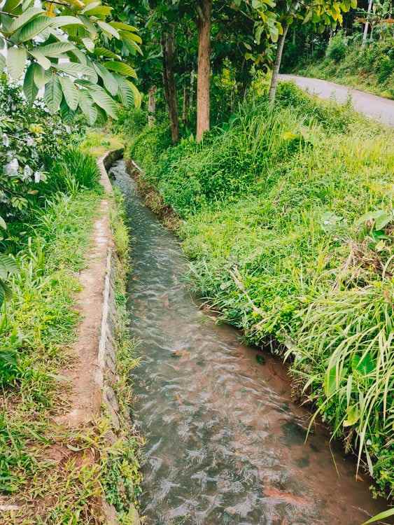 tanah tepi jl raya kerjo