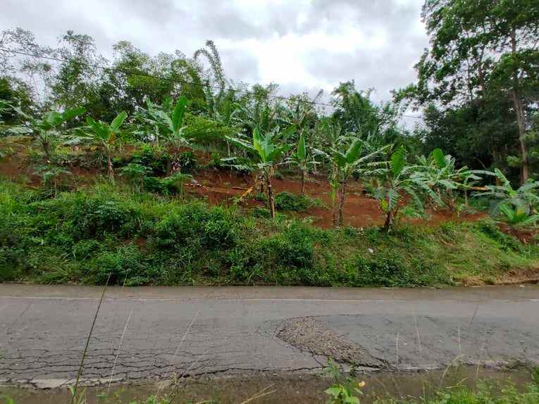 tanah tepi jl raya kerjo