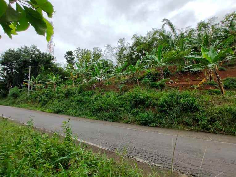 tanah tepi jl raya kerjo